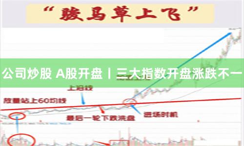 公司炒股 A股开盘丨三大指数开盘涨跌不一